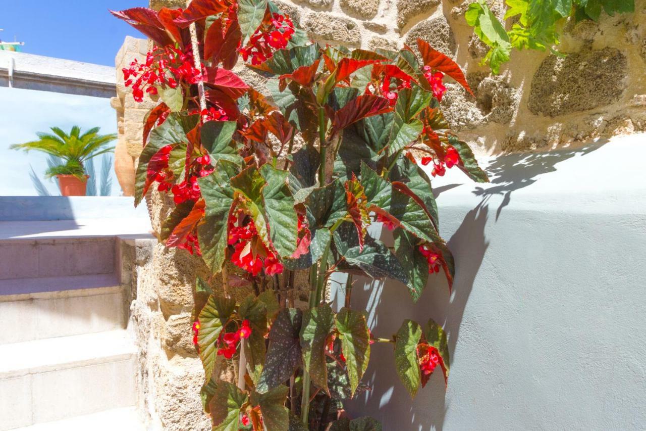 Colours - Old Town - Appartement *